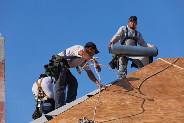 Best Roof Gutter Cleaning  in Clinton, NC